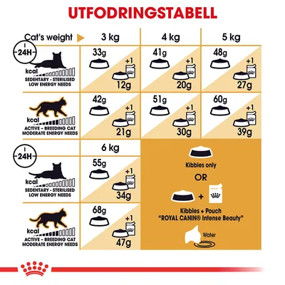 Royal Canin Siamese Adult