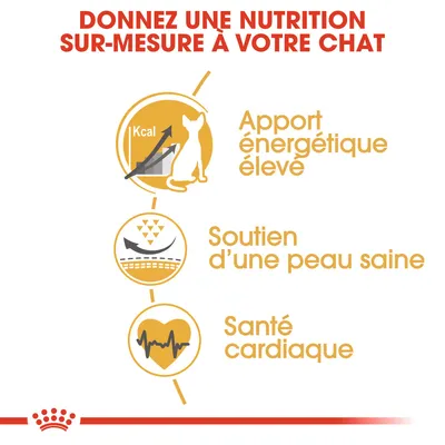 Donnez une nutrition sur-mesure à votre chat : apport énergétique élevé, soutien d’une peau saine, santé cardiaque. Texte et icônes illustrant chaque bénéfice.