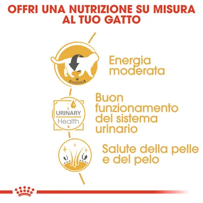 Offri una nutrizione su misura al tuo gatto: energia moderata, buon funzionamento del sistema urinario, salute della pelle e del pelo. Testo in italiano e simboli grafici.