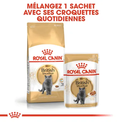 ROYAL CANIN Adult British Shorthair, sac de croquettes et sachet 85 g. Texte visible : Mélangez 1 sachet avec ses croquettes quotidiennes.