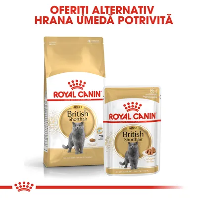 ROYAL CANIN ADULT British Shorthair hrană uscată și umedă pentru pisici, pachet 85 g vizibil. Text: OFERIȚI ALTERNATIV HRANĂ UMEDĂ POTRIVITĂ.