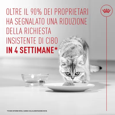 Royal Canin Appetite Control Care AirLift Mousse