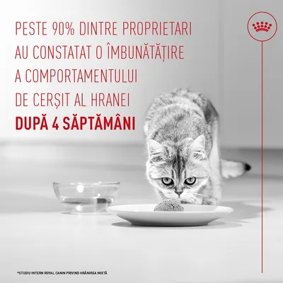 Royal Canin Appetite Control Care AirLift Mousse