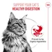 Royal Canin Digestive Care AirLift Mousse