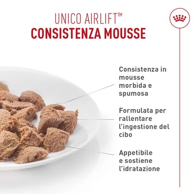 Royal Canin Digestive Care AirLift Mousse