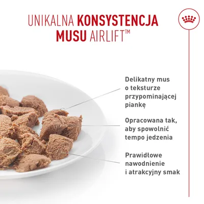 Royal Canin Digestive Care AirLift Mousse
