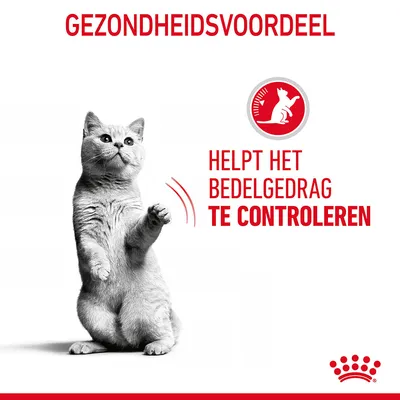 GEZONDHEIDSVOORDEEL. Helpt het bedelgedrag te controleren. Afbeelding van een kat en Royal Canin kroon symbool.