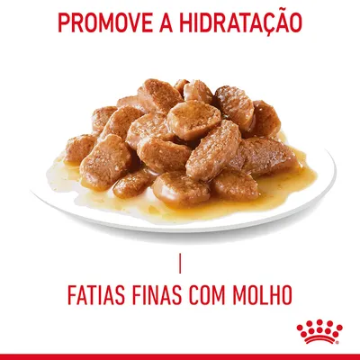 Fatias finas com molho em prato, texto visível: 'Promove a hidratação' e 'Fatias finas com molho', coroa vermelha no canto inferior direito.