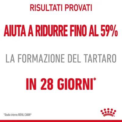 Risultati provati: aiuta a ridurre fino al 59% la formazione del tartaro in 28 giorni. *Studio interno ROYAL CANIN.