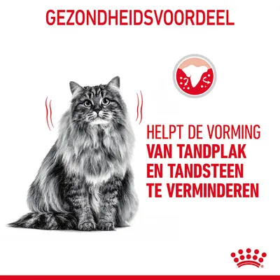 GEZONDHEIDSVOORDEEL. Helpt de vorming van tandplak en tandsteen te verminderen. Afbeelding van een kat en een tand met tandplak. Royal Canin merk zichtbaar.