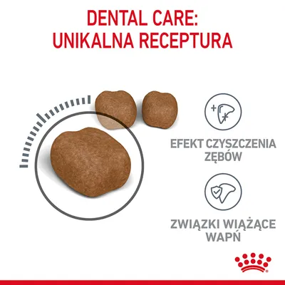 Dental Care: Unikalna receptura, efekt czyszczenia zębów, związki wiążące wapń. Trzy brązowe granulki karmy na białym tle.