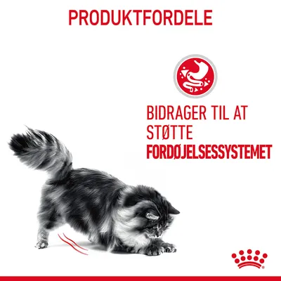 PRODUKTFORDELE. Bidrager til at støtte fordøjelsessystemet. Sort og hvid kat, rød ikon med mave og tarm. Royal Canin-kronemærke nederst.