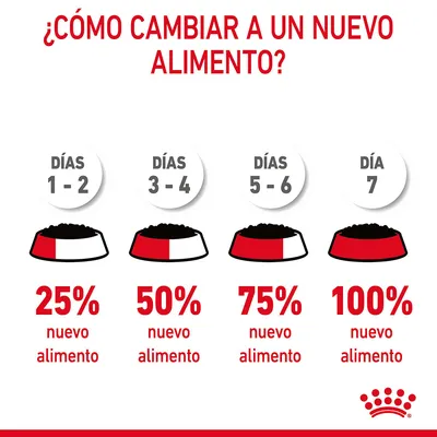 Guía de cambio de alimento: días 1–2, 25 % nuevo; días 3–4, 50 %; días 5–6, 75 %; día 7, 100 % nuevo alimento. Texto y gráficos explicativos.
