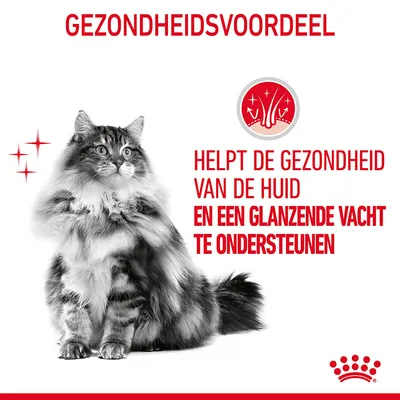 GEZONDHEIDSVOORDEEL. Helpt de gezondheid van de huid en een glanzende vacht te ondersteunen. Afbeelding van een langharige kat en Royal Canin symbool.