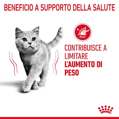 Beneficio a supporto della salute. Contribuisce a limitare l’aumento di peso. Simbolo Kcal con tachimetro. Immagine di un gatto grigio.