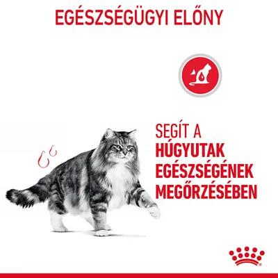 EGÉSZSÉGÜGYI ELŐNY. SEGÍT A HÚGYUTAK EGÉSZSÉGÉNEK MEGŐRZÉSÉBEN. Fekete-fehér macska, piros körben macska ikon, Royal Canin márkajelzés.