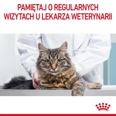 PAMIĘTAJ O REGULARNYCH WIZYTACH U LEKARZA WETERYNARII – tekst na zdjęciu kota u weterynarza, logo Royal Canin
