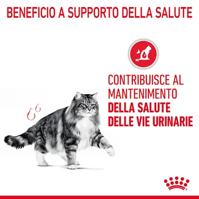 Contribuisce al mantenimento della salute delle vie urinarie. Beneficio a supporto della salute. Immagine di un gatto e simbolo rosso con silhouette felina.