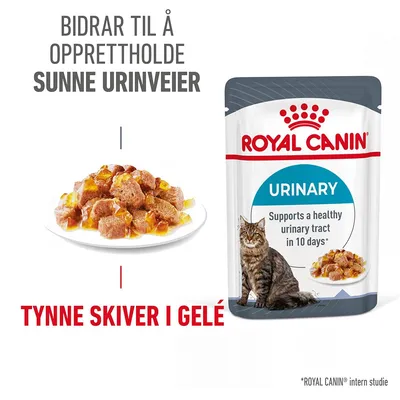 Royal Canin FCN Urinary Care i gelé