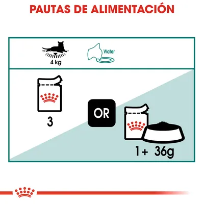 Pautas de alimentación para gato de 4 kg: 3 sobres o 1 sobre más 36 g de pienso. Incluye icono de agua y texto 'Water'.