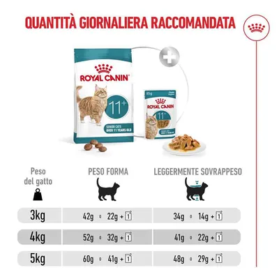 Royal Canin Ageing 11+