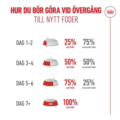 Royal Canin Ageing 11+