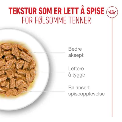 Royal Canin Ageing 11+ i saus