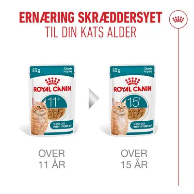 Royal Canin Ageing 11+ i sauce