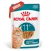 Royal Canin Ageing 11+ in Salsa