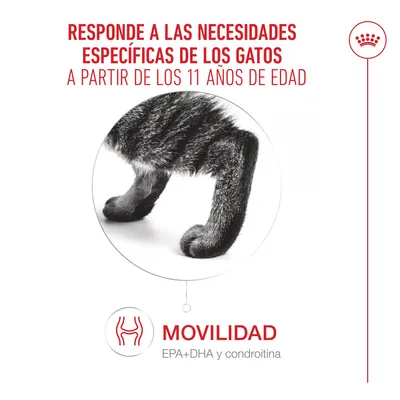 Royal Canin Ageing 11+ en salsa