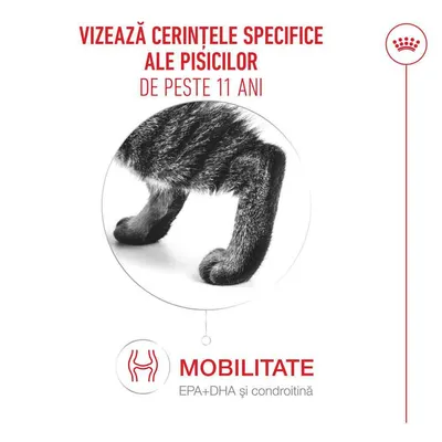 Mobilitate, EPA+DHA și condroitină. Cerințe specifice pentru pisici de peste 11 ani. Mobilitate, EPA+DHA și condroitină. Cerințe specifice pentru pisici de peste 11 ani.