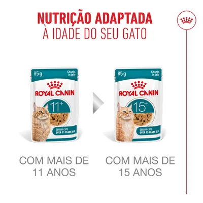 Royal Canin Ageing 11+ em geleia