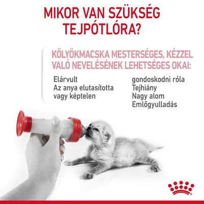 Mikor van szükség tejpótlóra? Kölyökmacska mesterséges, kézzel való nevelésének lehetséges okai: elárvult, anya elutasította vagy képtelen, gondoskodni róla, tejhiány, nagy alom, emlőgyulladás.