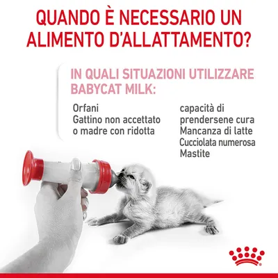 Quando è necessario un alimento d’allattamento? In quali situazioni utilizzare Babycat Milk: orfani, gattino non accettato o madre con ridotta capacità di prendersene cura, mancanza di latte, cucciolata numerosa, mastite.