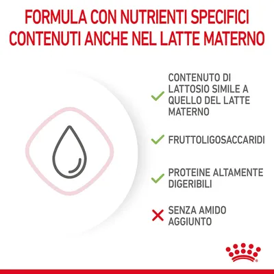 Formula con nutrienti specifici contenuti anche nel latte materno: lattosio simile al latte materno, fruttoligosaccaridi, proteine digeribili, senza amido aggiunto.
