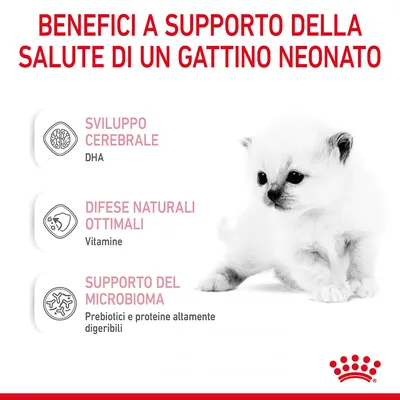 Benefici a supporto della salute di un gattino neonato: sviluppo cerebrale (DHA), difese naturali ottimali (vitamine), supporto del microbioma (prebiotici e proteine altamente digeribili).