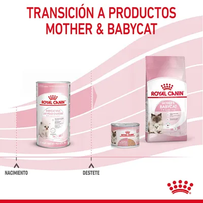 Transición a productos Mother & Babycat de Royal Canin: leche para gatitos desde nacimiento, comida húmeda y seca Mother & Babycat tras el destete. Texto visible en la imagen.