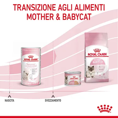 Transizione agli alimenti Mother & Babycat Royal Canin: Babycat Milk alla nascita, Mother & Babycat umido e secco allo svezzamento. Testo visibile: nascita, svezzamento.