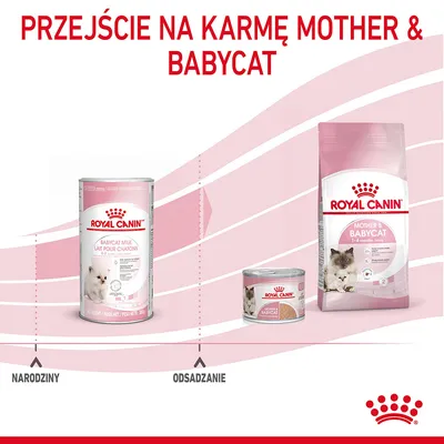 Przejście na karmę Royal Canin Mother & Babycat: mleko dla kociąt przy narodzinach, mokra i sucha karma podczas odsadzenia. Widoczne opakowania produktów i etapy rozwoju.