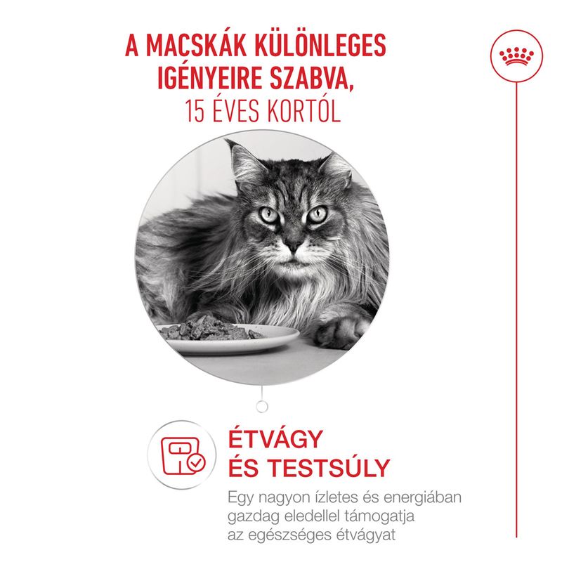 Royal Canin Ageing 15+ szószban