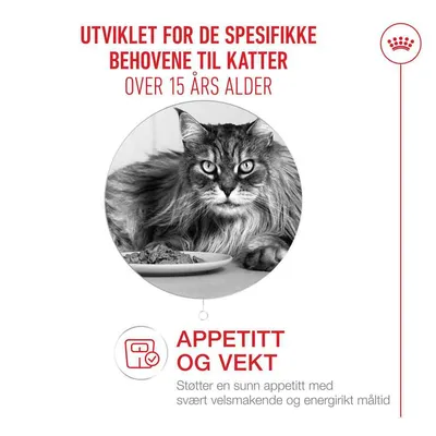 Royal Canin Ageing 15+ i saus