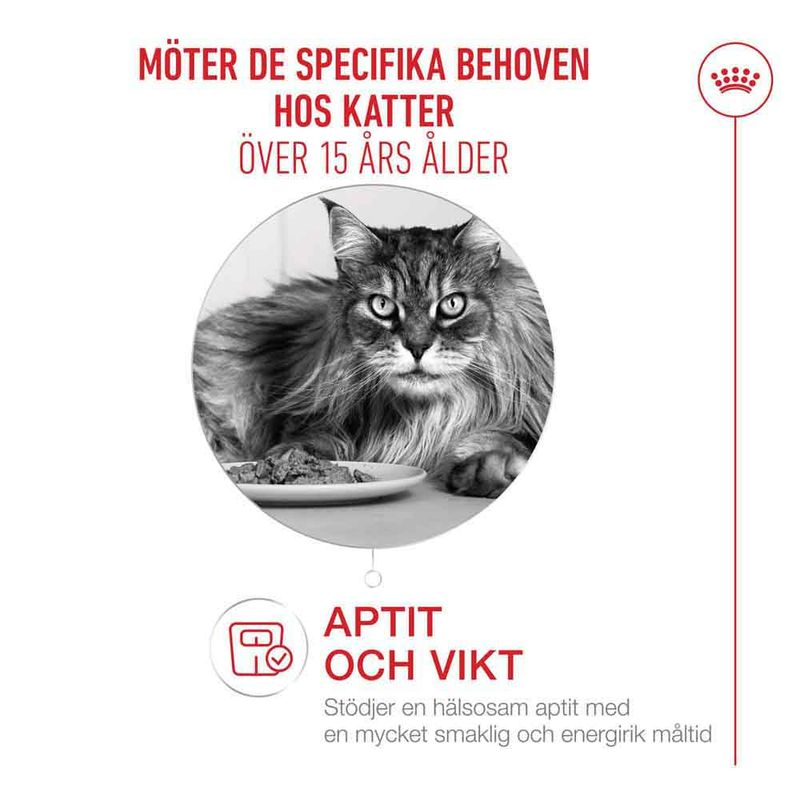 Royal Canin Ageing 15+ i sås