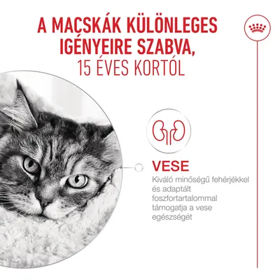 Royal Canin Ageing 15+ szószban