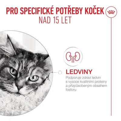 Royal Canin Ageing 15+ Mousse