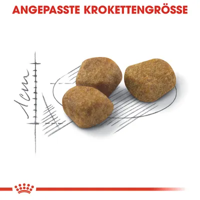 Angepasste Krokettengrösse, Darstellung von Kroketten mit einer Grösse von ca. 1 cm.