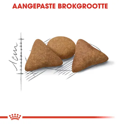 AANGEPASTE BROKGROOTTE, drie brokken in verschillende vormen met maatindicatie tot 1 cm zichtbaar op de achtergrond.