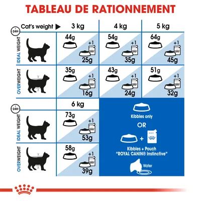 Tableau de rationnement pour chats Royal Canin : quantités de croquettes et sachets par poids (3–6 kg), chat poids idéal ou en surpoids, options croquettes seules ou avec sachet Instinctive.