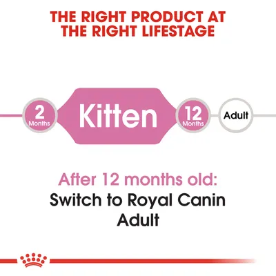 Teksti englanniksi: The right product at the right lifestage. 2 months Kitten 12 months Adult. After 12 months old: Switch to Royal Canin Adult.