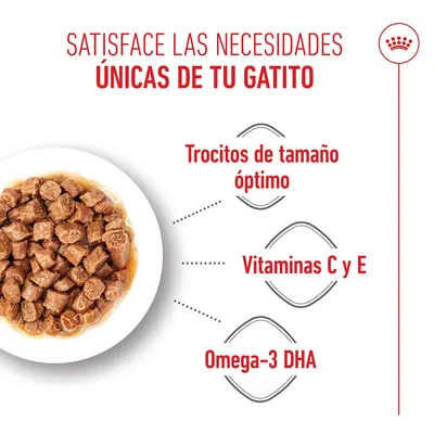 Royal Canin Kitten en salsa