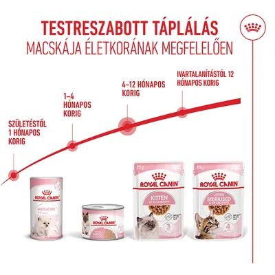 Royal Canin Kitten szószban